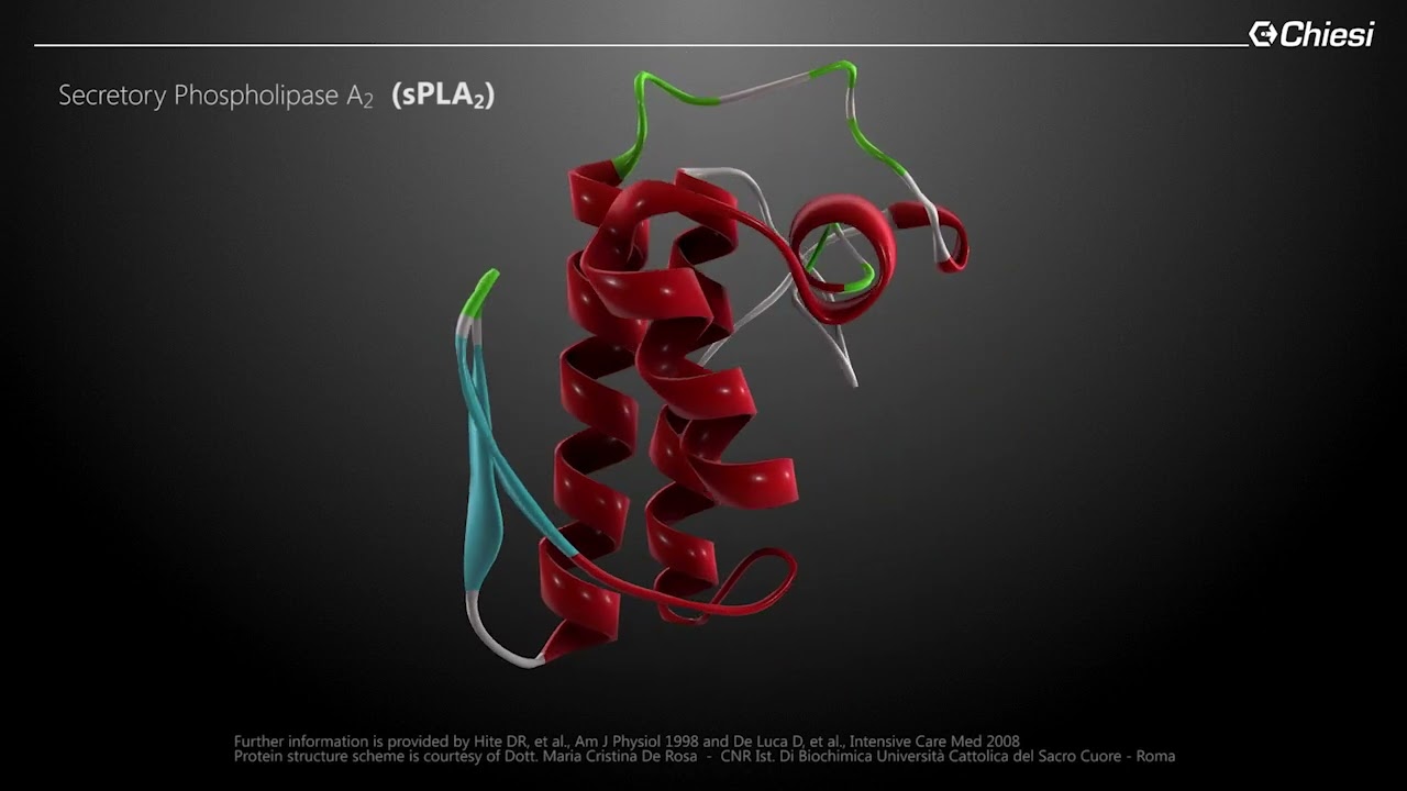Fisiopatología del SDR y el Papel del Surfactante