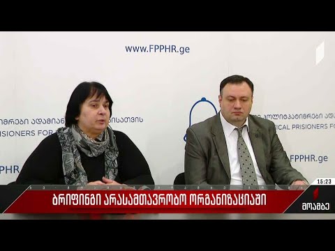 ბრიფინგი არასამთავრობო ორგანიზაციაში