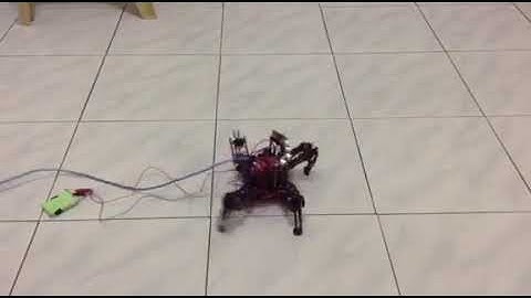 Quadpod Collision Avoidance Robot