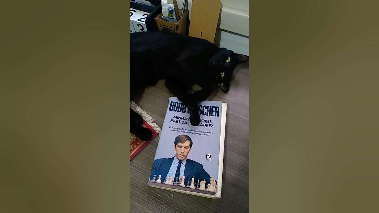 Minhas melhores partidas de xadrez - Bobby Fischer 