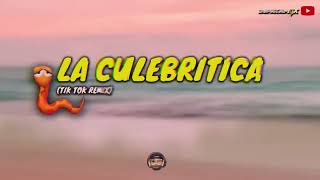LA CULEBRITICA (Tik Tok Remix) #youtube #tiktok #djpatamix #reel 🎧🇦🇷  DJ Patamix