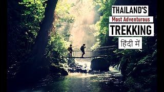 Thailand Trekking - Khao Sok National Park | HINDI