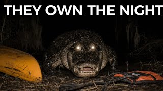 10 Predators Lurking In The Florida Everglades That Hunt AFTER DARK