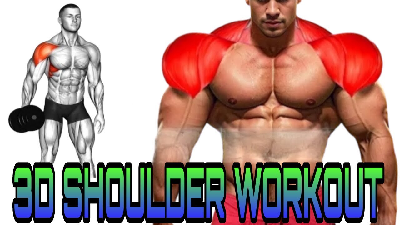 Full 3D SHOULDER WORKOUT AT GYM in Hindi || How I Built 3D shoulders ...