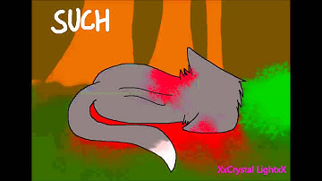 Warrior Cats - In A Week [PMV MAP]  ~ PART 11 ~