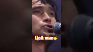 Вот как исполнил бы Виктор Цой песню «Можно я с тобой» (cover by Ab$ent) #кавер