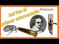Breve historia del Microscopio - Platicando