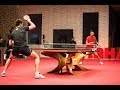 Dimitrij Ovtcharov vs Joo Se Hyuk (2017 T2APAC)