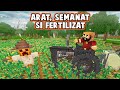 AM PORNIT TRACTOARELE SI NE-AM PUS PE TREABA! MC FarmLife Ep.4