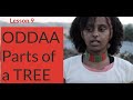 lesson 9: The Odaa Tree 🌳 Value and Vocabulary