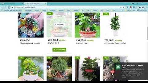 Giói thiệu website bán cây cảnh online chuẩn seo dồ án website bán cây cảnh online 2021