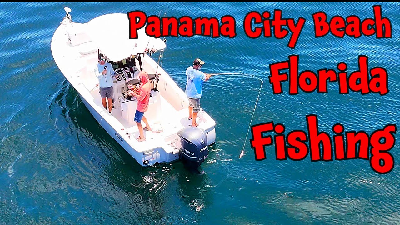 Offshore Fishing Panama City Beach, Florida 