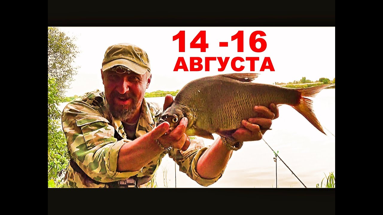 Рыбалка пущино ока