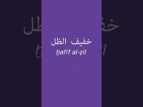 20    06 40  