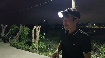 Tối 26/11: Chấn Động VC Chuột Và E Út Đi Phát Kếu Trợ Bị Đ.ánh Chạy Táng Loạn Tại Nha Trang