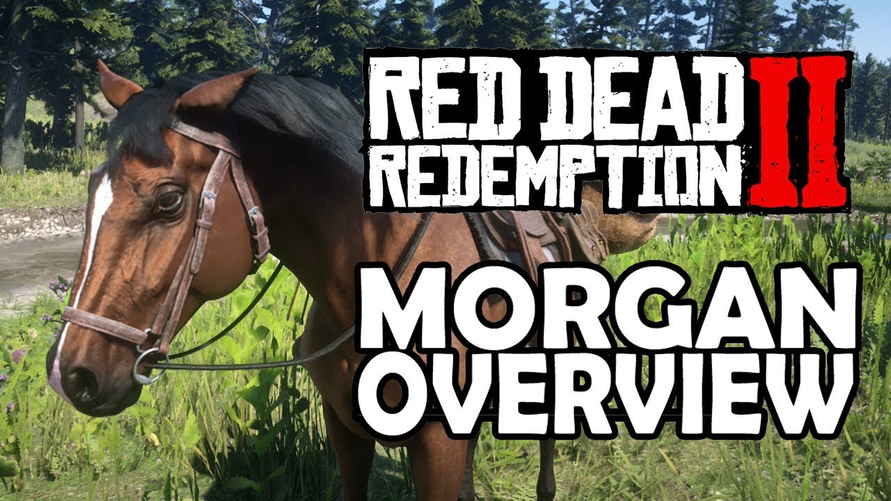 Red Dead Redemption 2 Horses - Overview YouTube