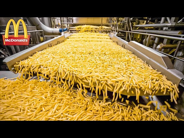 CÓMO SE HACEN LAS PAPAS FRITAS DE MCDONALD'S. LA PRODUCCIÓN DE ALIMENTOS class=