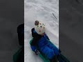knocked down from a sled #shorts