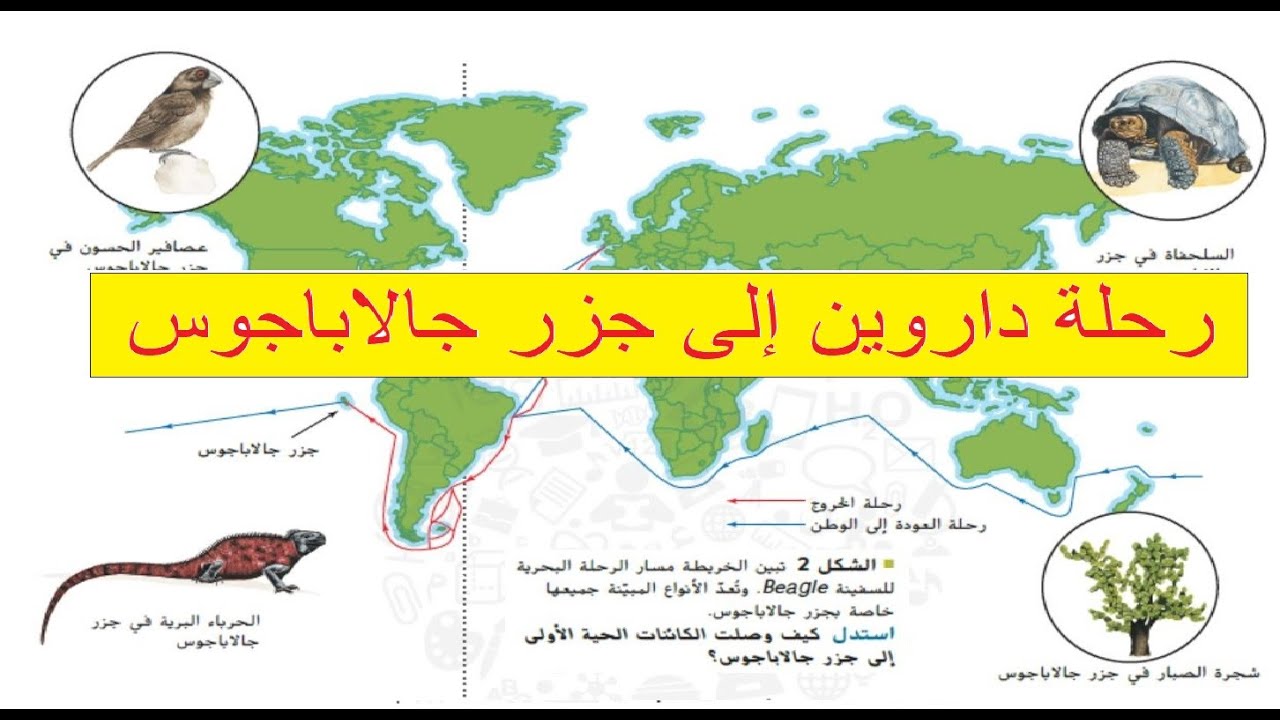 نظريه داروين للتطور عن طريق الانتخاب الطبيعي
