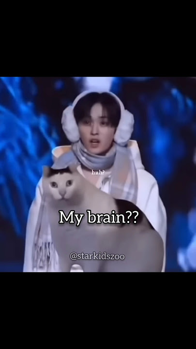 My brain can't do it anymore!!😭😭#straykids#skz#hyunjin#felix #leeminho