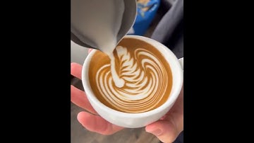 Swan Latte Art | Coffee Art #baristalife #shorts  [Barista:- @24.studio__]