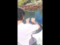 Urban Soundscapes - Handpan at the Venice Canals in Venice Beach CA #shorts