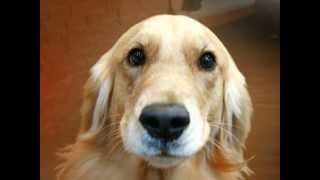 Capture 20120711 4