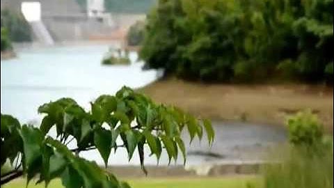 الشيخ  شعبان محمود عبد الله " سورة غافــــــــــــر " mohamed basyouni