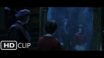 What house is Professor Quirrell in?