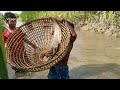 অল্প পানির খাল থেকে জীবনের সেরা বোয়াল মাছ ধরা || 5 Big Big Patan Fish Catching in Polo