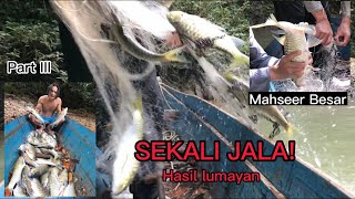 Lubuk Mahseer Yang Dicari-Cari! Sekali Jala Hasilnya Lumayan.