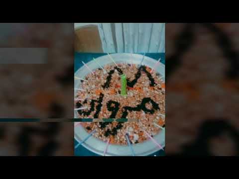 جيت نورت البيت