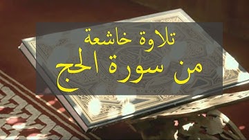 تلاوة خاشعة _ القارئ محمد سالم امقيطيف