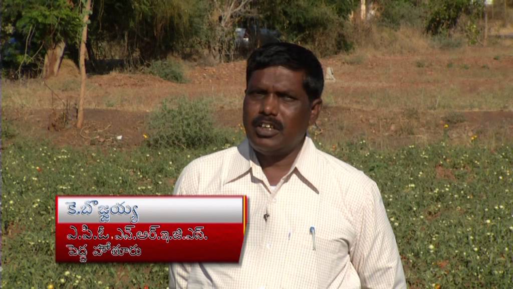 mgnregs-ap-farm-ponds-in-kurnool-district-pedahothoor-mandal-23-03-2014