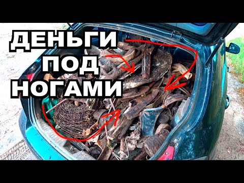 ИЗ-ЗА ЭТОГО Я УВОЛИЛСЯ С РАБОТЫ! ЗАРАБОТОК С МЕТАЛЛОИСКАТЕЛЕМ НА ЛЕГКОВОМ АВТО!