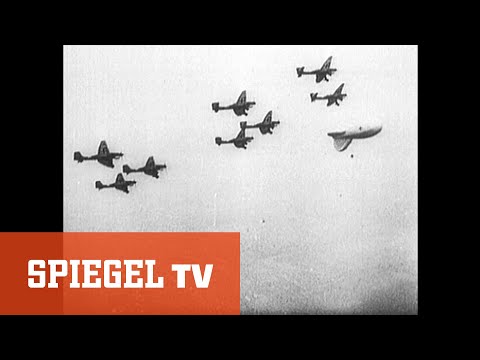 Video: Die Hunde Des Zweiten Weltkriegs Zur Verteidigung