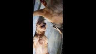 20141013 Clip 2