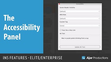 Accessibility Panel — in5 Features