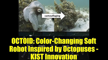 OCTOID: Color-Changing Soft Robot Inspired by Octopuses - KIST Innovation