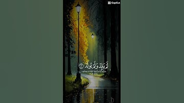 سورة الاخلاص راحة نفسية #ايات_قرانيه_قصيره #راحة_نفسية #foryou #quran