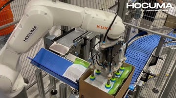 Wellness Pet Food Casepacker | Hocuma Projects