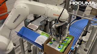 Wellness Pet Food Casepacker Hoa Projects