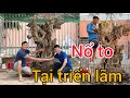 đúng 400 triệu phôi si khủng u cục nhất triển lãm được anh bạn trả 350 triệu chưa song