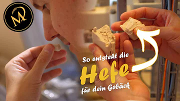 Wie wird Würfel Hefe hergestellt?