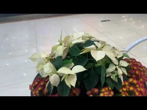 مول ملابس رياضيه اوت ليت الصين