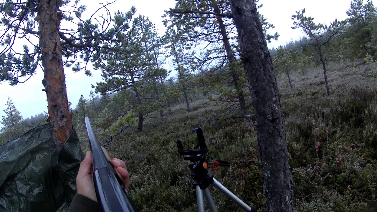 Teeren pudotus hidastettuna