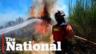 Europe's heat wave and climate change | A sign of things to come? Europe's death toll from extreme weather could rise to more than 150000 people a year by 2100 if nothing is done to curb the effects of climate change, study ..., From YouTubeVideos