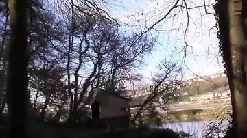 Deleuze for the Desperate #2 Rhizome