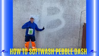 How to softwash pebble dash screenshot 4