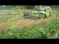 Agrotech eco harvester 4lz40      srilanka harvester 